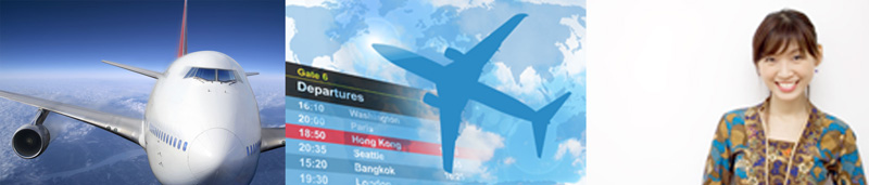 English course for flight attendants
